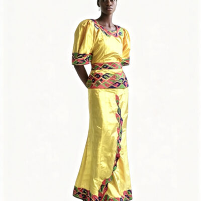 Skirt and Blouse - Brocade